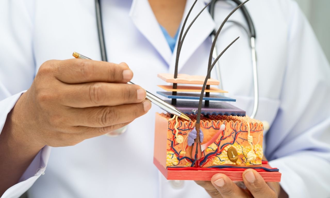 Tecnología de Vanguardia